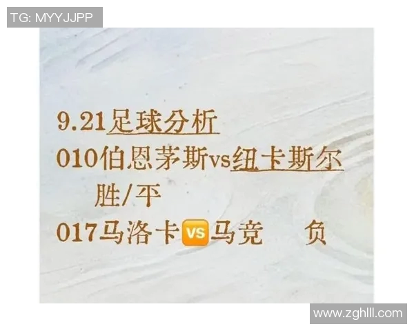 深入分析瑞士足球明星的职业生涯与对足球的影响力