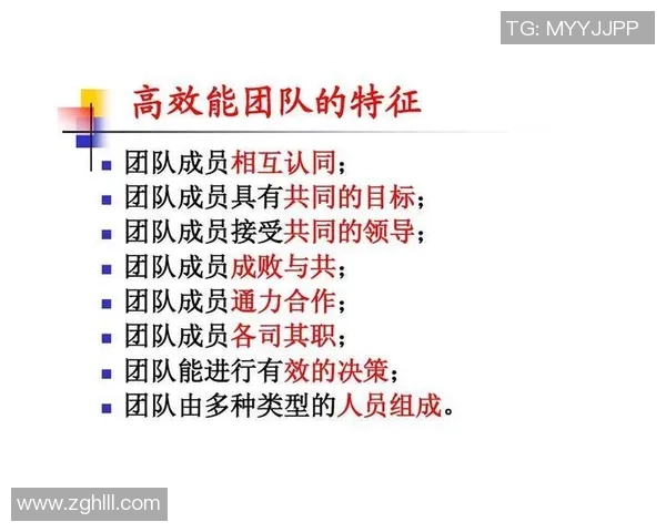 南京网球队在世界杯预选赛中的团队协作与表现分析