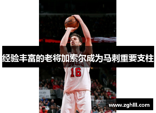 经验丰富的老将加索尔成为马刺重要支柱