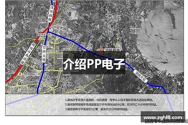 介绍PP电子